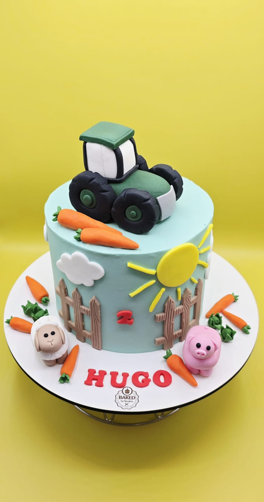 Bespoke custom celebration cake for Boys & Adventures handcrafted by Nicoleta